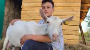 Школьник создал козью ферму в Павлодарской области