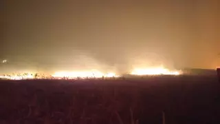 Крупный лесной пожар почти сутки тушили в области Абай