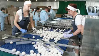 Яйца начали поштучно продавать в Костанае