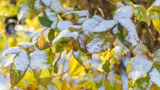 Сильные осадки, ветер и гололед: погода на 3 дня в Казахстане