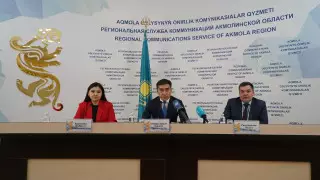 Природным газом обеспечат пристоличные регионы Акмолинской области