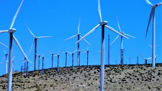 Египет и ОАЭ построят крупнейшую в мире ветровую электростанцию