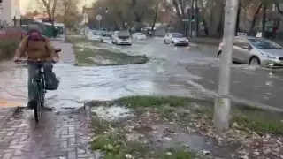 Коммунальщики носили алматинцев на руках: милое видео появилось в Сети