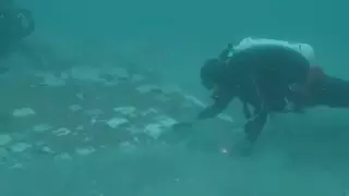 В океане нашли обломок шаттла "Челленджер", потерпевшего катастрофу в 1986 году