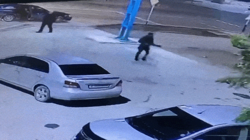 Кадры из видео