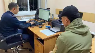 Живодеры насмерть забили кошку в Конаеве