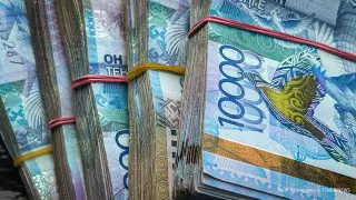 На погашение проблемных кредитов казахстанцев бюджетные деньги не выделялись - Минфин