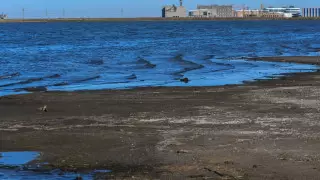 Жители Актау возмутились неприятным запахом на берегу Каспия