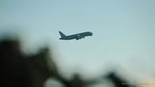 Сами себя расследуют - депутат заявил о конфликте интересов в гражданской авиации