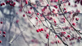 Какая погода ожидает казахстанцев 25 ноября