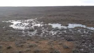 Нефтяной разлив обнаружили в Атырауской области