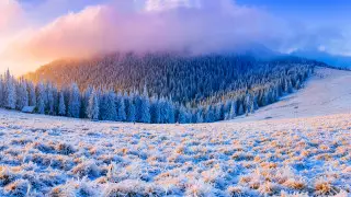 40-градусные морозы: Какая погода ожидает казахстанцев 29 ноября