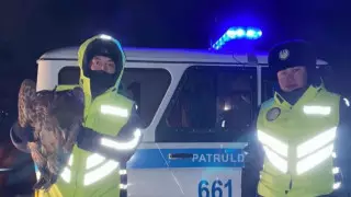 Раненого краснокнижного орлана спасли в Павлодарской области