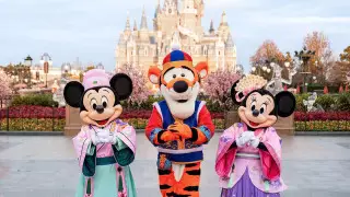 Шанхайский Disneyland закрыли из-за COVID-19