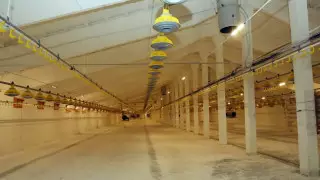 Какие проекты по улучшению быта реализуют власти Жамбылской области