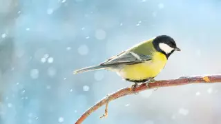 Какая погода ожидает казахстанцев 3 декабря