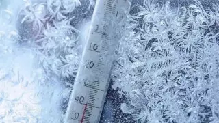 Учеников 0-9-х классов перевели на дистанционное обучение в Астане