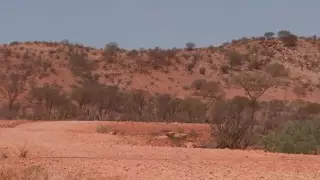 Началось строительство крупнейшего радиотелескопа в истории