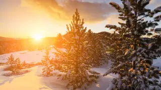 Метели и морозы до 35 градусов: Какая погода ожидает казахстанцев 9 декабря