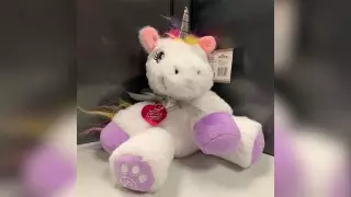 Кормить арбузом и полировать рог: власти США разрешили ребенку завести единорога