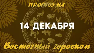 Гороскоп на сегодня: что нас ждет 14 декабря?
