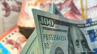 Выгоднее было вложиться в доллар - депутат о накоплениях казахстанцев в ЕНПФ