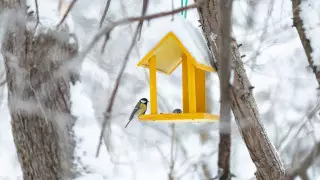 Морозы до 36 градусов: Какая погода ожидает казахстанцев 15 декабря