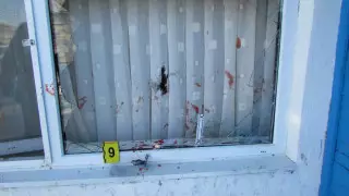 Акмолинец выстрелил в жену, избил сына и застрелился