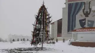 "Позором года" назвали пользователи елку, установленную на востоке Казахстана