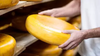 Как развивается агротуризм в Акмолинской области