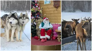"Санта-экспресс" из Астаны. Какие развлечения есть в Боровом зимой