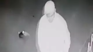 Прыгнувшего на голову котенка жителя Актау приговорили к шести месяцам ограничения свободы