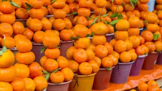 Как выросли расходы на продукты к Новому году, ответил Куантыров