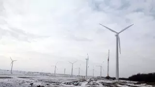 Третью часть электроэнергии Жамбылской области дают зеленые электростанции