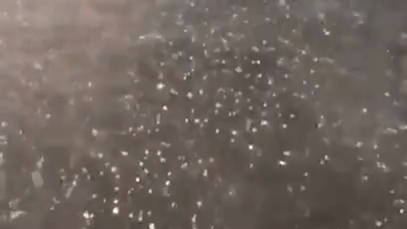 Кадры из видео