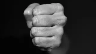 Главе МВД рассказали об опыте Германии в борьбе с бытовым насилием