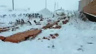 Кирпичная облицовка обвалилась с построенного по госпрограмме нового дома в Улытау