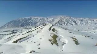 Редкую и малоизученную птицу кумай засняли в горах Улькен Калкан