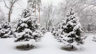 Морозы до 41 градуса. Какая погода ожидает казахстанцев 11 января