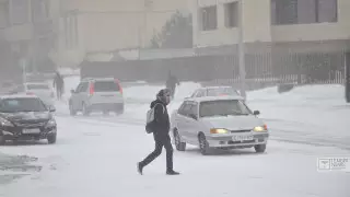 Школьников и студентов вновь перевели на дистанционное обучение в Астане