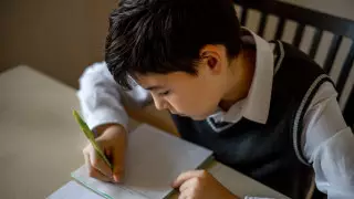 Занятия второй смены перевели на дистанционку в нескольких регионах Казахстана