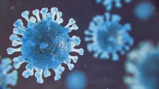 В Казахстане не выявлен "кракен" - Минздрав