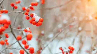 Какой будет погода в Казахстане в выходные дни