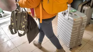 "Ни много ни мало" - министр труда о помощи кандасам