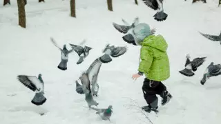 Морозы без осадков. Какая погода ожидает казахстанцев 17 января