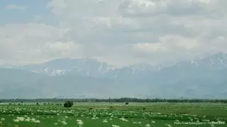 В Казахстане заработала карта возвращенных государству земельных участков