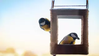 32-градусные морозы. Какая погода ожидает казахстанцев 19 января