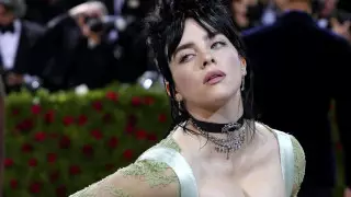 Певица Билли Айлиш попросила защитить ее от преследователя