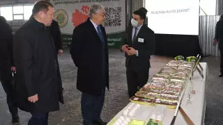 Президент Токаев посетил птицефабрику в Рудном
