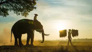 Как казахстанцы выбрались из рабства в "золотом треугольнике", рассказали в МИД